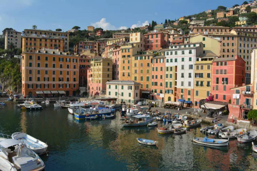 Da Un'antica Dimora Di Pescatori Sul Porticciolo