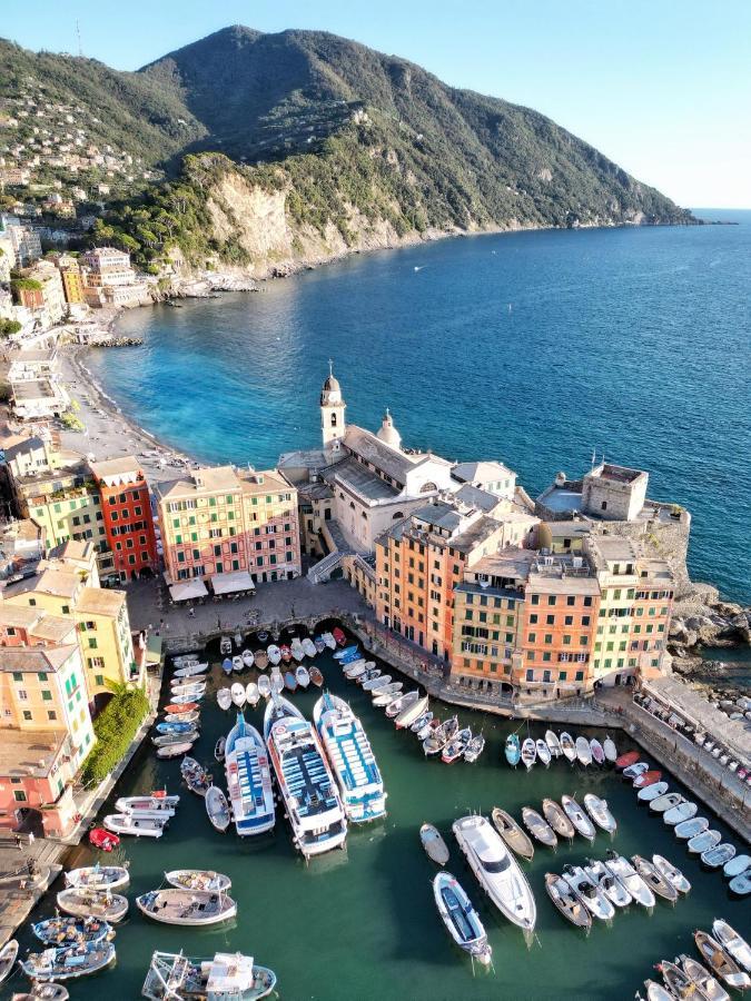 Apartment Da Un'antica Dimora Di Pescatori Sul Porticciolo Camogli