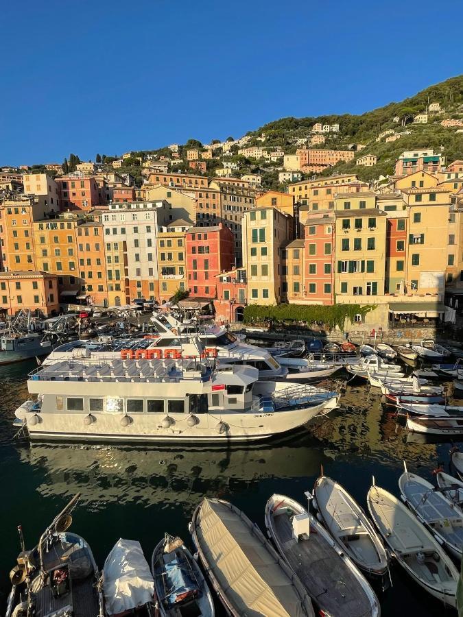 Da Un'antica Dimora Di Pescatori Sul Porticciolo * Camogli